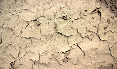 dry cracked ground without any grass dried after rain