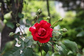 한국 인천시 남동구 인천대공원 입니다