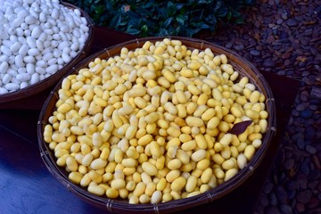The silkworms cocoons in Bangkok.