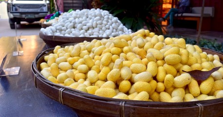 The silkworm cocoon in Thailand.
