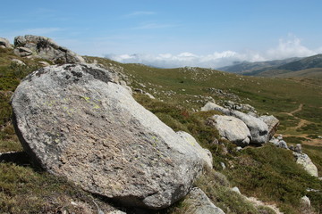 Corse