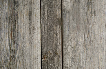 Grey wooden background, structure of wood with knots