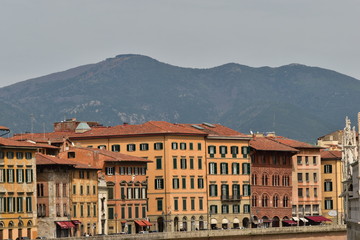 Naklejka na ściany i meble view of the town of Pisa