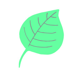Hand drawn leaf of the tree doodle style
