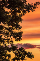 Ch&ecirc;ne au coucher de soleil