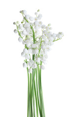 Fototapeta na wymiar Beautiful lily of the valley flowers isolated on white
