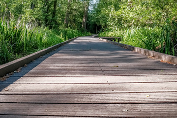 Low down view along the treelined wooden board walk along the River Bure in the Norfolk village of Hoveton and Wroxham in the heart of the Norfolk Broads