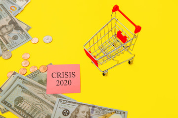 Shoppin cart and money with the prase CRISIS 2020 on yellow background.