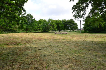 A field and a Meadow in Horley, Surrey, UK.