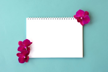 Top view of empty notebook with white pages and bright pink orchid flowers on blue background. Botanical mock up with tropical flowers
