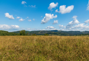 Fototapeta na wymiar beuatifull scenery with meadow, trees, hills on the background and sky with few nice clouds