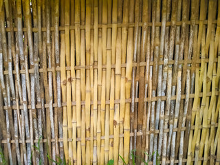 Bamboo dry sheet curtain tied with light wood tone background. Texture