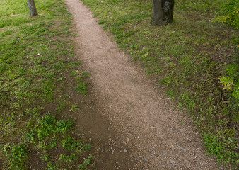 Fototapeta premium 公園の道
