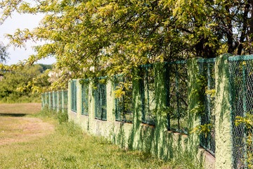 Green fence on the meadow. Calming scene of the nature in the spring.