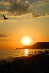 Bird flying over Mediterranean sea coast at sunset on background of mountains in Alanya, Turkey.  