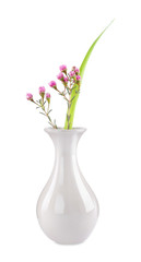 White vase with flower isolated on white