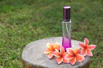 A spray bottle with beautiful flowers on a wooden floor in the green lawn.