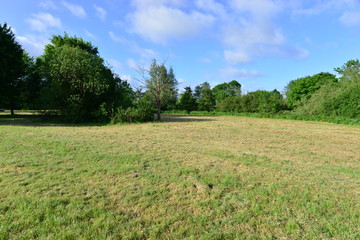 A field and a Meadow in Horley, Surrey, UK.