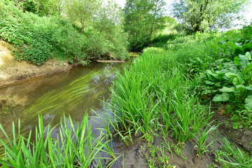 The River Mole in May in Horley in Surrey.