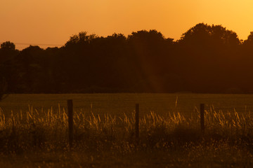 Campagne fran&ccedil;aise durant l'&eacute;t&eacute;