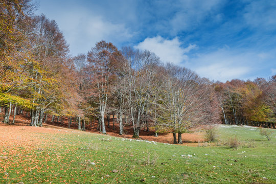 Ienne Monte Livata Lazio autunno