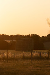 Campagne fran&ccedil;aise durant l'&eacute;t&eacute;