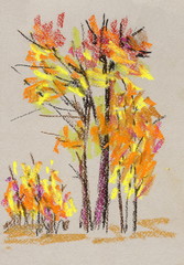 Multicolor drawing of an autumn tree. Fall. Graphic arts. Pastel handmade