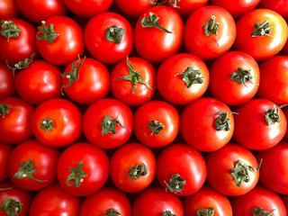 Vegetable background. Background of red tomatoes. Top view on ripe red tomatoes. Textured red natural background. Close-up, horizontal, nobody. Concept of healthy eating and agriculture.