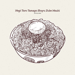 Negi Toro Tamago Shoyu Zuke Meshi Donburi, hand draw sketch vector.