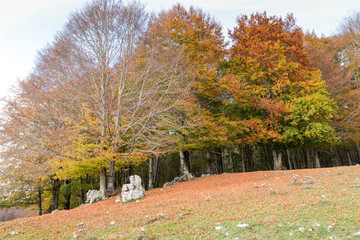 Ienne Monte Livata Autunno Lazio Italia