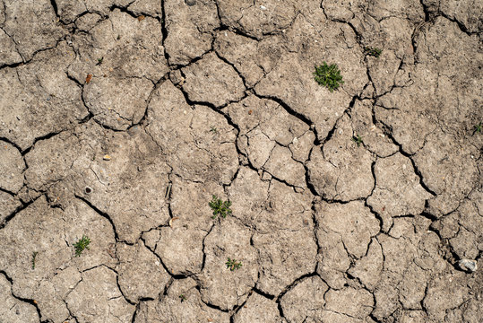 Hot dry cracked earth ground. Drought