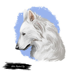 White Shepherd dog isolated digital art illustration. Hand drawn dog muzzle portrait, puppy cute pet. Dog breeds originating United States. German Shepherd bred in USA. T-shirt print, pet shop emblem.