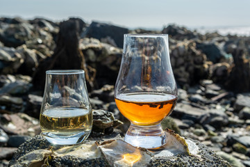 Tasting glass of Scotch whisky and sea shore during low tide, smoky whisky pairing with oysters