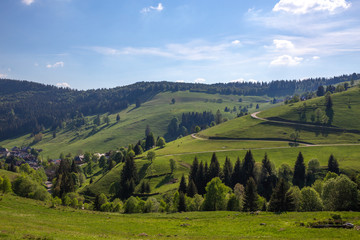 Fototapeta premium Erlebnis Rundweg Muggenbrunn Black Forest Schwarzwald Germany
