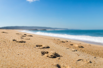 Traces on the sand of the beach in Nazare Portugal