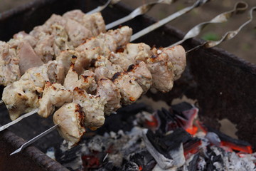 Close up of toasted shashlik on skewers. Succulent barbecue roasting on chargrill. Concept of picnic outdoor.