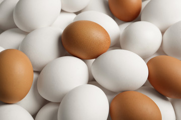 Fresh raw chicken eggs as background, closeup