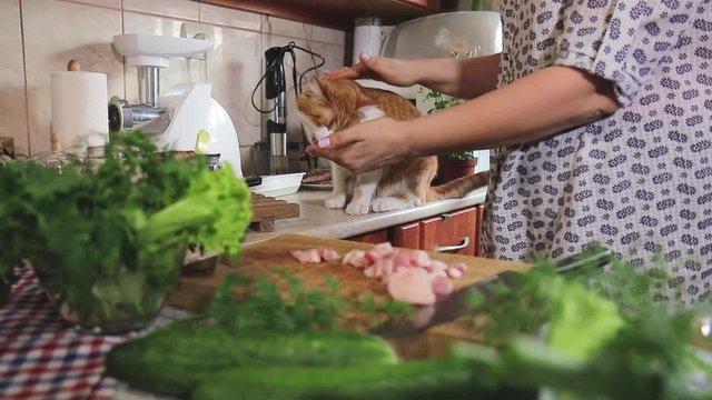 Close-up of women hands  cutting fresh pork on a wooden cutting board and red-white cat feeds in home kitchen
