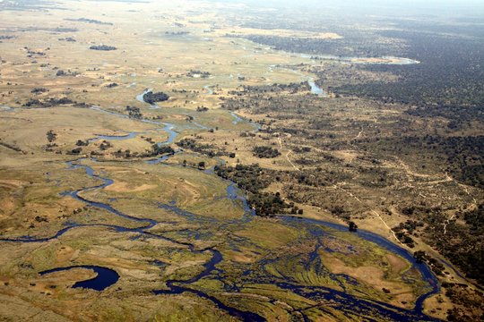 Aerial Picture of Okavango Delta - Botswana – Africa 