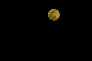 Obraz premium hermosa luna llena 