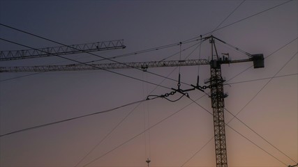 crane in the morning