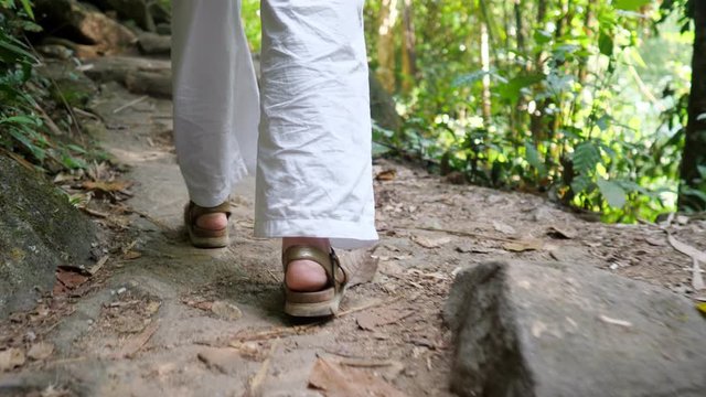 camera follows woman legs in white pants and beige sandals walking along narrow path in tropical rainforest close backside view slow motion