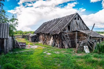 Fototapeta na wymiar Old rotten wooden barn with wooden shingles roof in the courtyard in the countryside in Belarus. Summer view