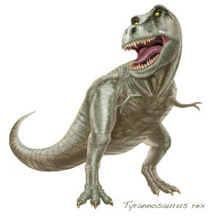 Tyrannosaurus rex. A large flesh-eating dinosaur. About 18 ft (5.5 m) high and 50 ft (15 m) long. Upper Cretaceous, about 70 million years ago.
