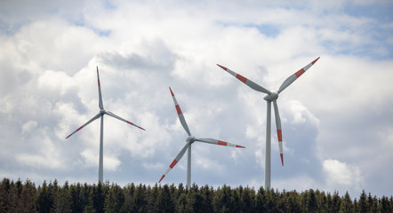 three wind turbines tower above the treetops