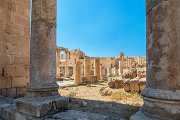 ruins of the roman forum