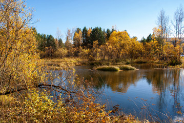 Picturesque autumn forest by the bay on a sunny day