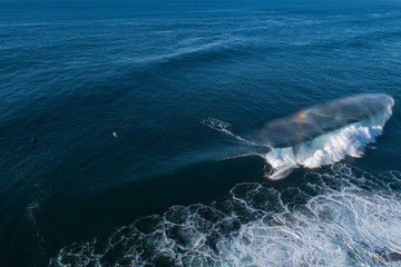 Naklejka premium Surfing