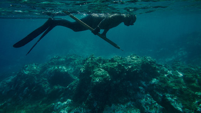 Snorkeling on the surface while spearfishing