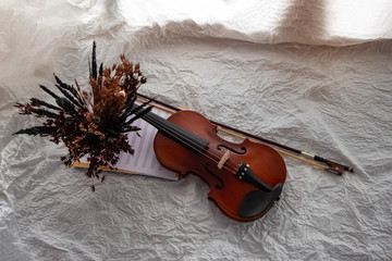 Fototapeta na wymiar Violin and bow put beside dried flower pot.on background,prepare for practice,blurry light around